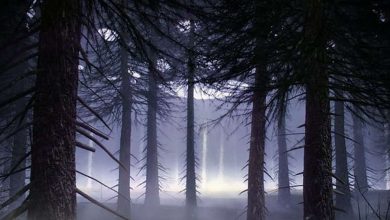 Photo of Наблюдения за НЛО в лесу Рендлшем: нерешенное расследование