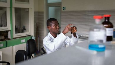 Photo of Для лечения Covid-19 могут использовать африканский напиток на основе полыни