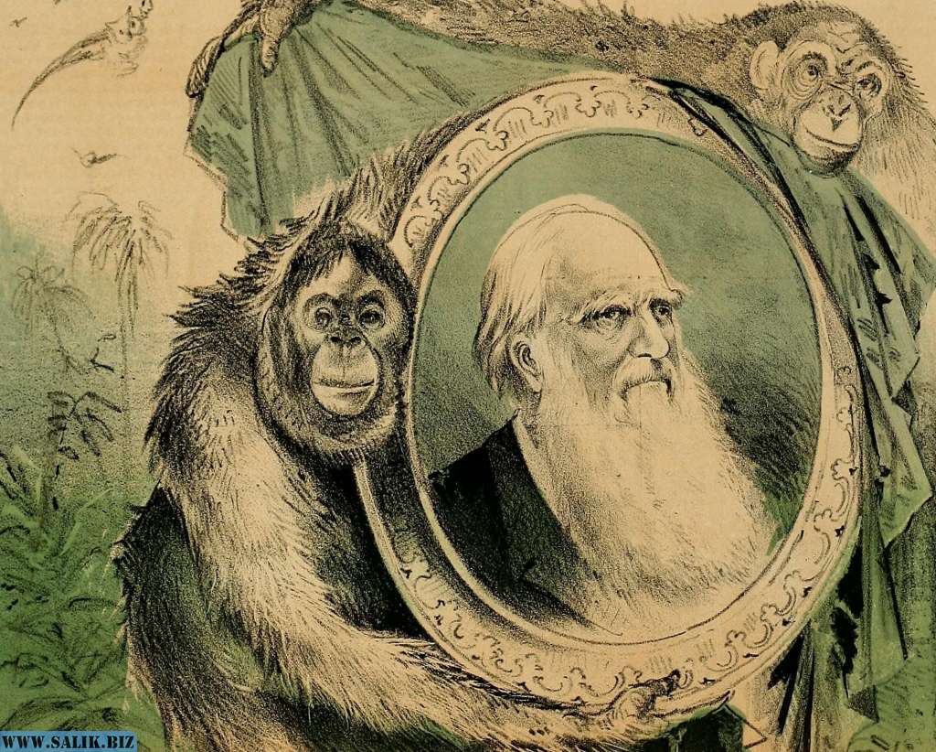 Photo of Мистер Дарвин, вы были не правы!