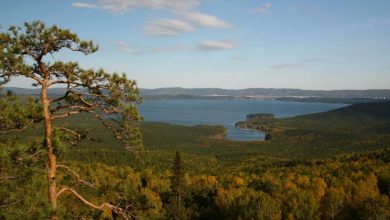 Photo of Новые находки за островом Веры на озере Тургояк