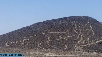 Photo of В Перу обнаружили гигантский геоглиф кошки возрастом более 2000 лет