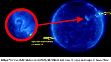Photo of На Солнце стали появляться цифры