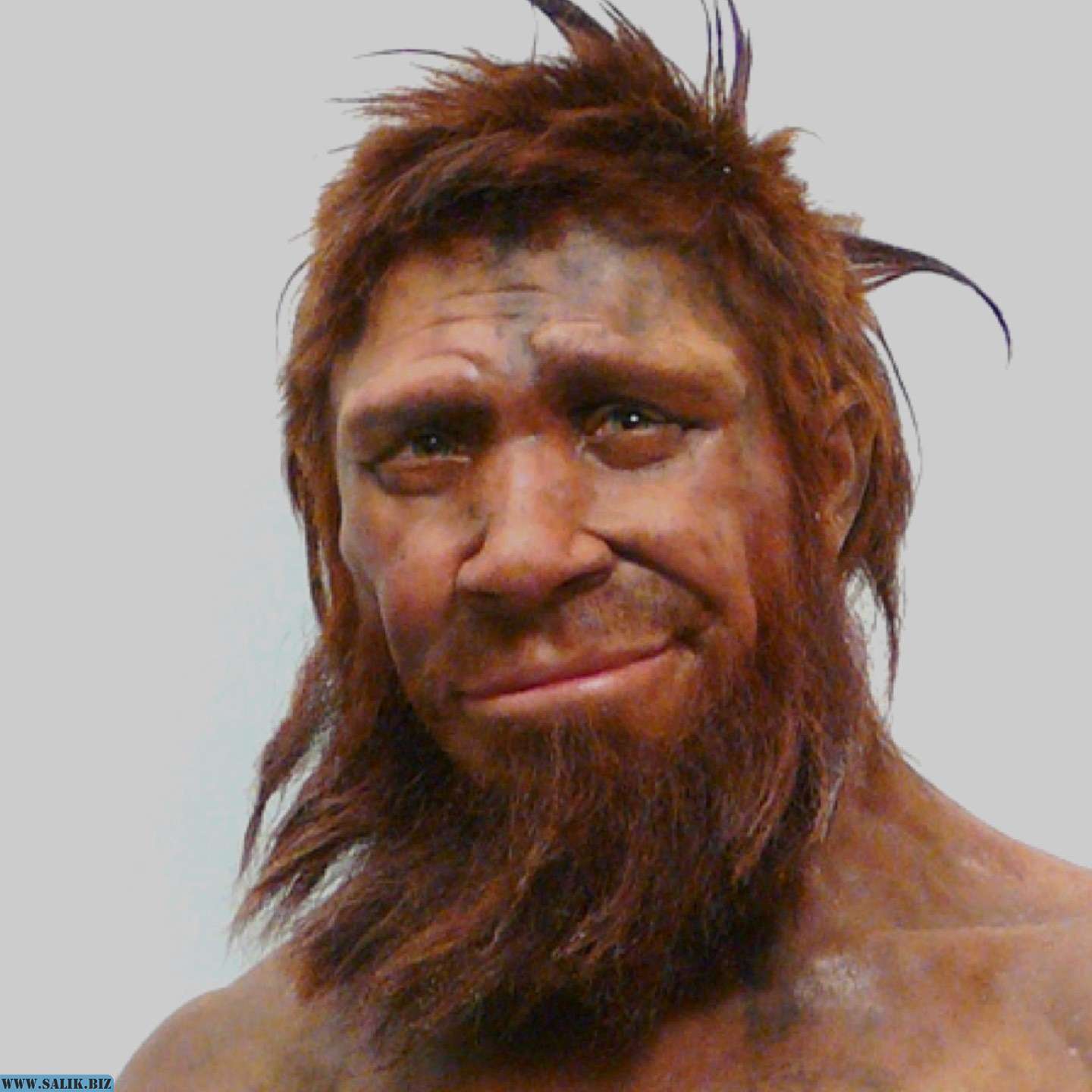 Photo of Никаких доказательств, что неандерталец — предок современного человека, нет