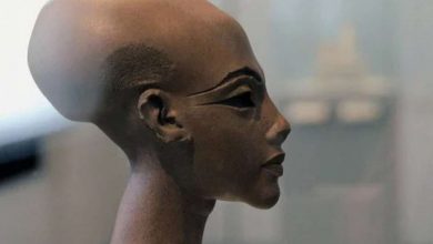 Photo of Почему у древних египтян была такая странная форма головы?