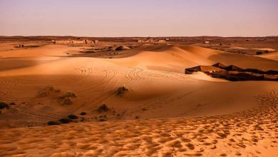 Photo of Методы выживания в пустыне