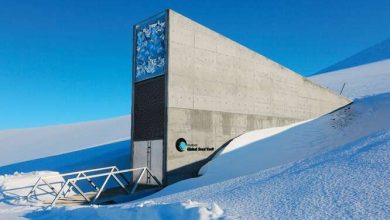 Photo of Как устроено всемирное семенохранилище на Шпицбергене