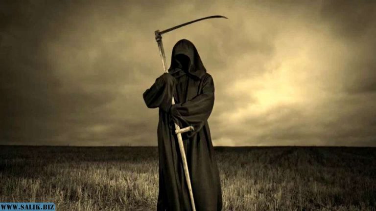 1464390cc54cb46ad37a21c9daae29ba