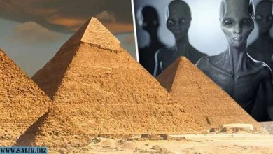 Photo of Пирамиды в Египте – дело рук инопланетной цивилизации?