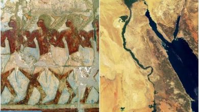 Photo of Феномен полумифичесой страны Пунт, из которой к древним еиптянам пришли их боги