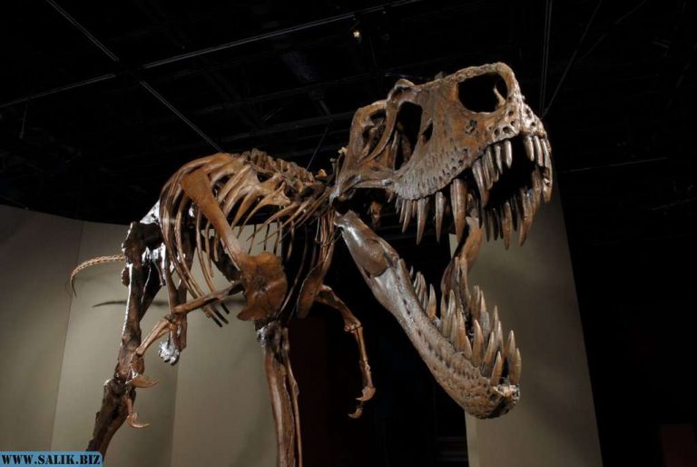 d250e3738223bc5ea6062019541a70ab