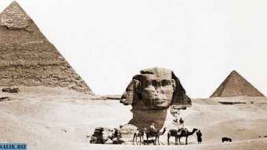 Photo of Большой Сфинкс в Египте — какие тайны скрывает изваяние?