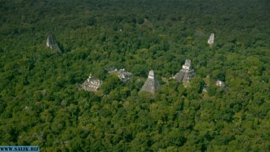 Photo of 60 000 построек майя найдены в джунглях Гватемалы