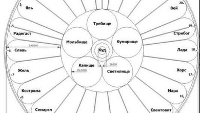 Photo of Назначение священной рощи