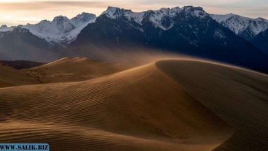 Photo of Чарские Пески: самая удивительная пустыня на Земле