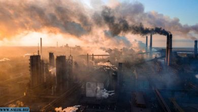 Photo of Опасность городского воздуха: древние теории и современность