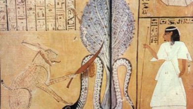 Photo of Удивительный египетский миф о разумных змеях, погибших от летящей звезды смерти