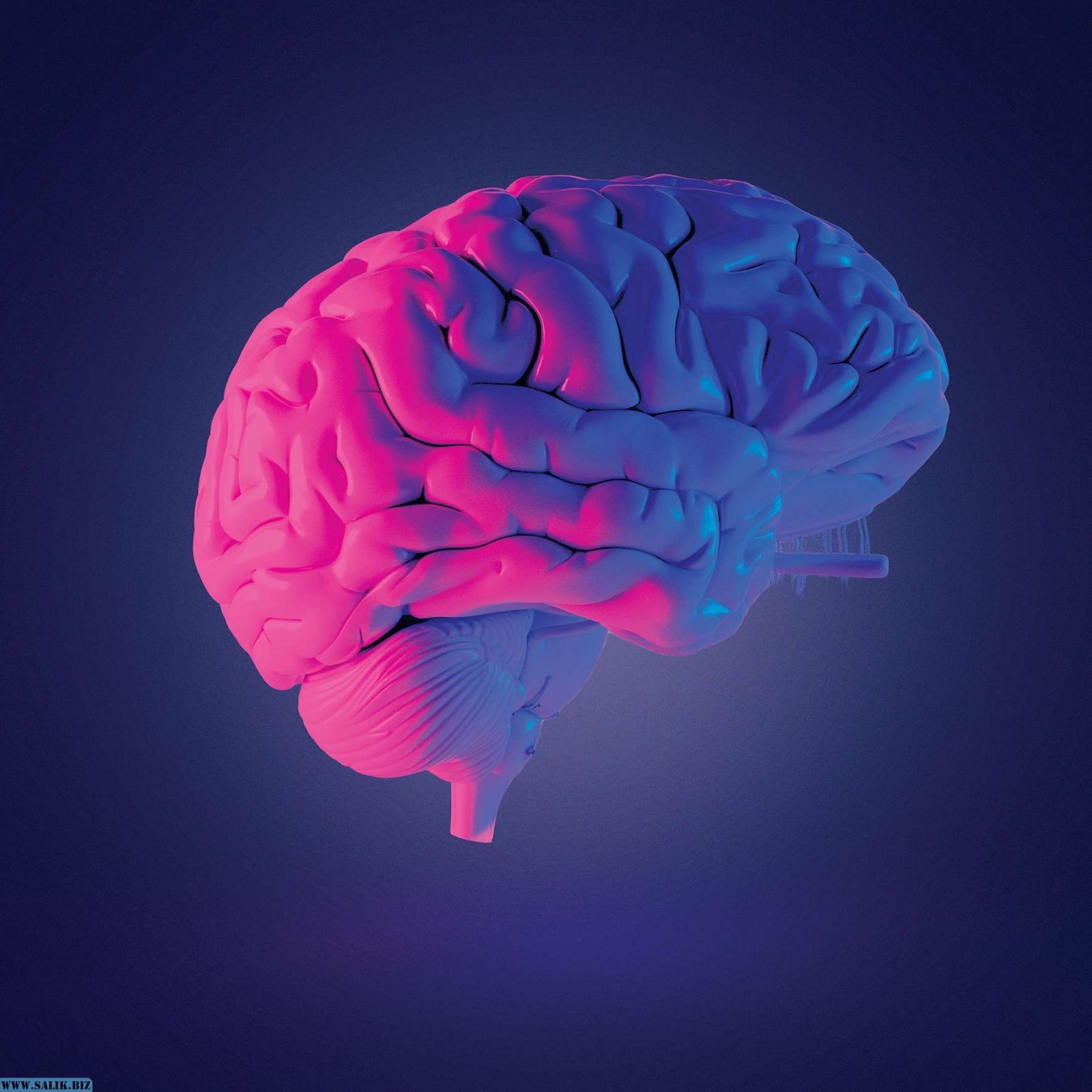 ff0933bc6add21b033b9bed8ed0dcdb3