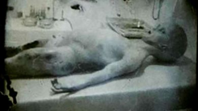 Photo of Плёнку со вскрытием пришельца, которое сняли в 1947 году, выставили на торги