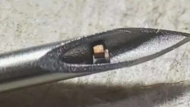 Photo of Самый маленький чип в мире можно ввести в организм с помощью обычной медицинской иглы