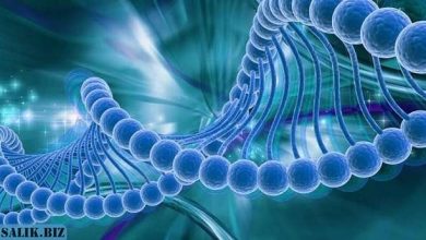 Photo of ДНК обладает телепатическими способностями, доказали ученые