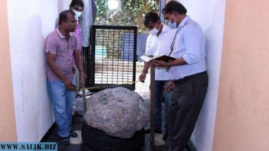 Photo of В Шри-Ланке нашли 500-килограммовый камень, состоящий из сапфиров