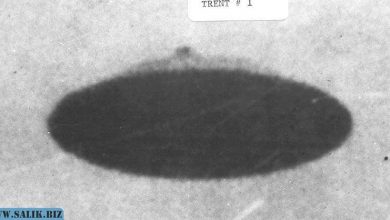 Photo of Самые четкие фотографии НЛО были сделаны в 1950 году фермером из Орегона в США