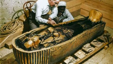 Photo of Что в Европе почти 1000 лет делали с египетскими мумиями