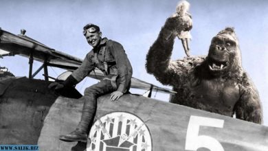 Photo of Как американский летчик на советско-польской войне придумал Кинг Конга