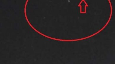 Photo of «Летающие звезды» в поясе Ориона