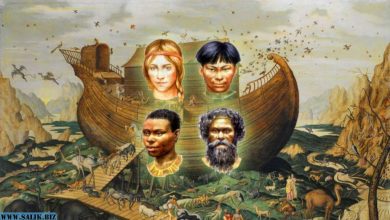 Photo of Кем мог быть по национальности библейский Ной – прародитель современного человечества