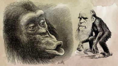Photo of Эволюционный мем Чарльза Дарвина