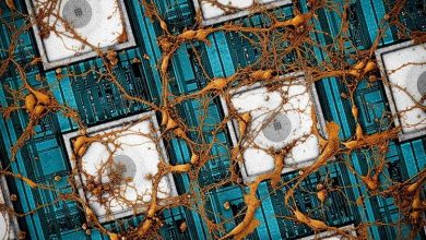 Photo of Предложили «скопировать и вставить» мозг в нейроморфные чипы