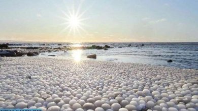 Photo of Почему на Земле иногда появляются огромные ледяные шары и откуда они берутся