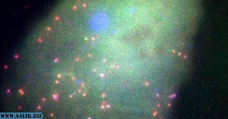 0e8d7e4be7b3a7bc1c231b7047433df4