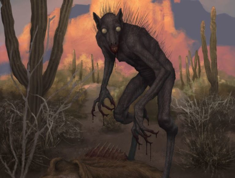 0e9d542dca403a4a0dd50b4d7f26f033