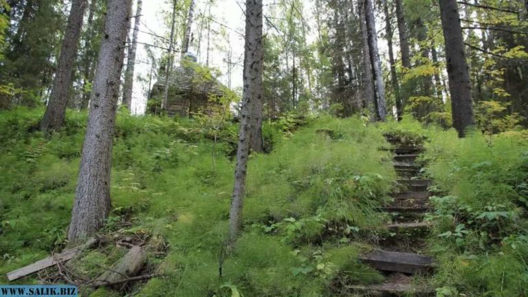 15060986456ed6c9fc074a9850b3778f