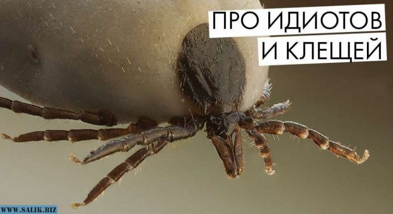 175f75dcd13ce484c822651a52c13833