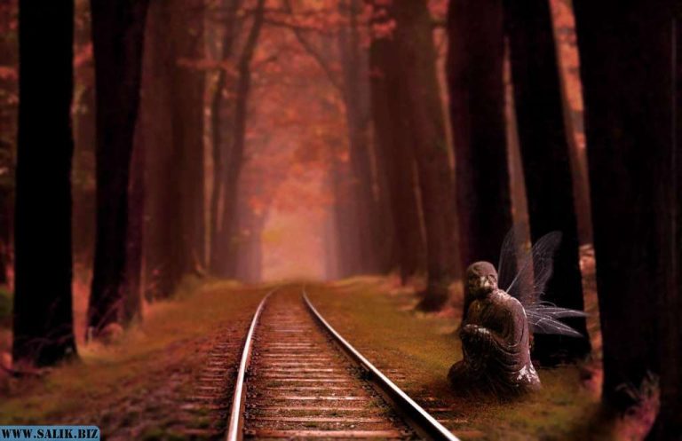 1b84d722303c1de80e7ec10f45288017