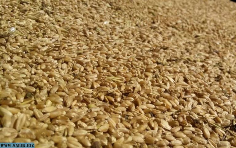 1bef451654c4678a93e8429dcf846677