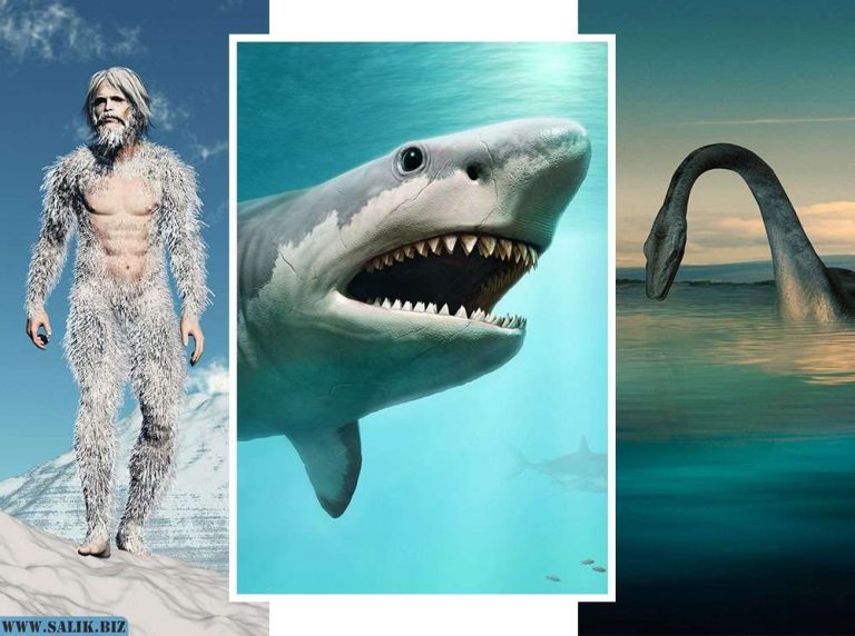 205d5c4c3a258d7e3e03415c7d881e5a