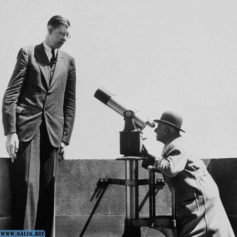 2367c4438ac91e6ebaa89e31130dbf6a