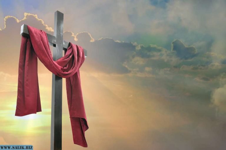 241231eded5021eae34400ed37b3b4d8