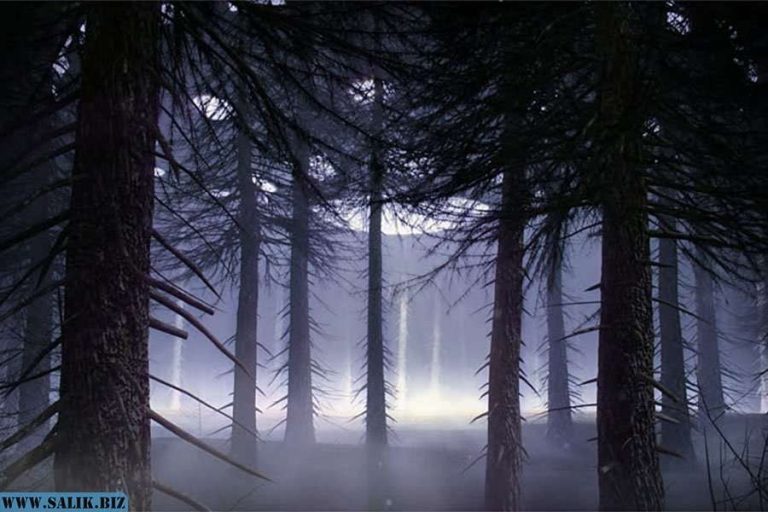 24b2473c7f8f8e9344ed1afe25fda728