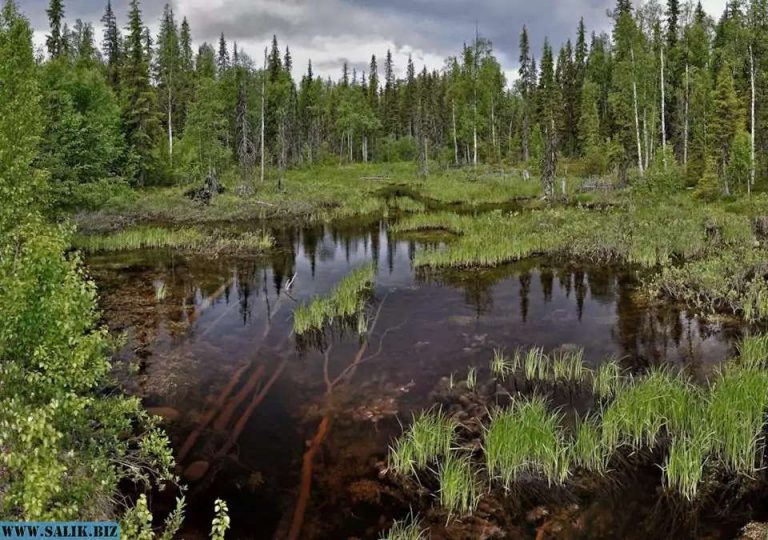 25349bb71139ea57247458c3a3e59de6