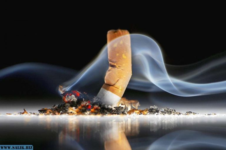 25d53c97e4e861bad375bce147e7476d