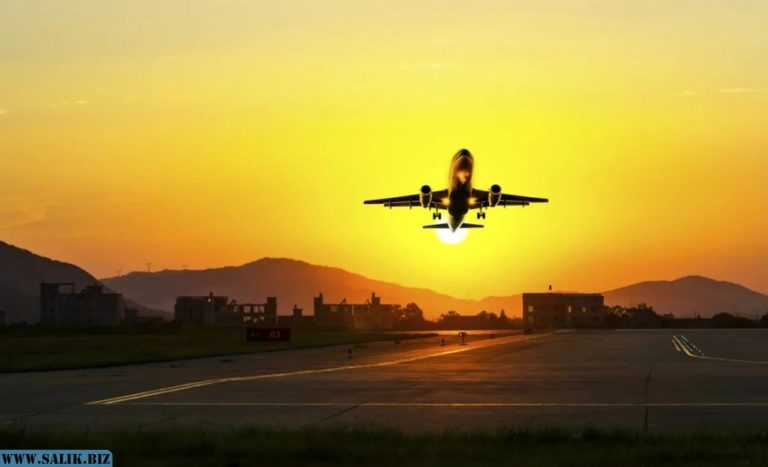 2929dd55f9da67ff0673de603333140b