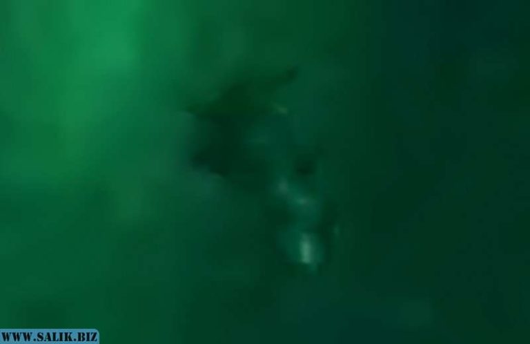 3439026e2cda4b3f8ec77af939f1e95a