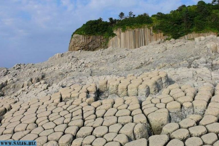 424cc7d8dae47348aa2d62d425bdf965