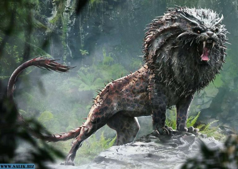 45156baa8726217f3c670fb72a00a333