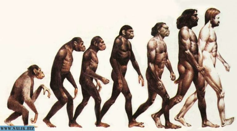 4dc86cfa0056523002b068bdfd5c53ac